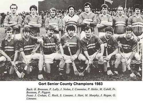 1983 Galway Senior Hurling Champions